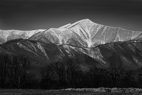 نمایشگاه عکس Sugawara Kazuto: Hokkaido – ساعت دوربین دیجیتال